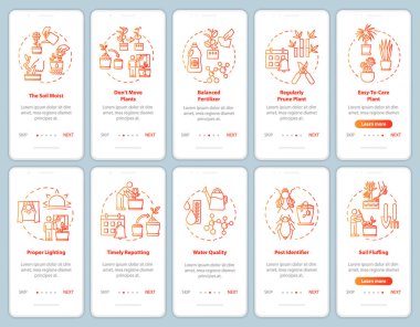 Çiçekler konseptli mobil uygulama sayfası ekranıyla ilgileniyor. Sera ışıkları. Bitkiler aşama aşama grafik talimatlar yetiştiriyor. RGB renk resimleriyle UI vektör şablonu