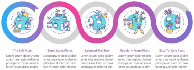 Saksıdaki çiçekler vektör bilgi şablonu. Büyüyen bitkiler tasarım elementleri sunar. Beş adımlı veri görselleştirmesi. Zaman çizelgesi. Doğrusal simgelerle çalışma akışı düzeni