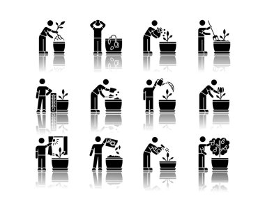 Ev bitkisi bakımı siyah sembol simgeleri yerleştirildi. Yerli bitki yetiştirme. Yeniden düzenleme, dölleme. Çiçek tohumu ekiyorum. Sulama, püskürtme. Beyaz uzayda izole vektör çizimleri