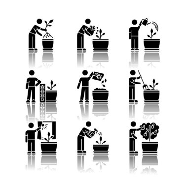 Kapalı alanda bahçıvanlık aşamaları siyah sembol simgelerini düşürür. Çiçek bakımı. Yeniden düzenleme, sulama. Dölleme, püskürtme. Üreyen çiçekler. Beyaz uzayda izole vektör çizimleri