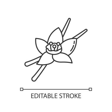 Vanilya pikseli mükemmel doğrusal simge. Aromatik çiçek ve vanilya orkidesi. Pişirme malzemeleri. İnce çizgi özelleştirilebilir illüstrasyon. Contour sembolü. Vektör izole çizim. Düzenlenebilir vuruş