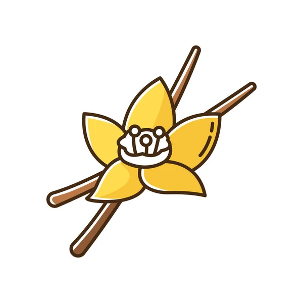 Ванильный Желтый Значок Цвета Rgb Ароматический Цветок Стручки Ванильной Орхидеи — стоковый вектор