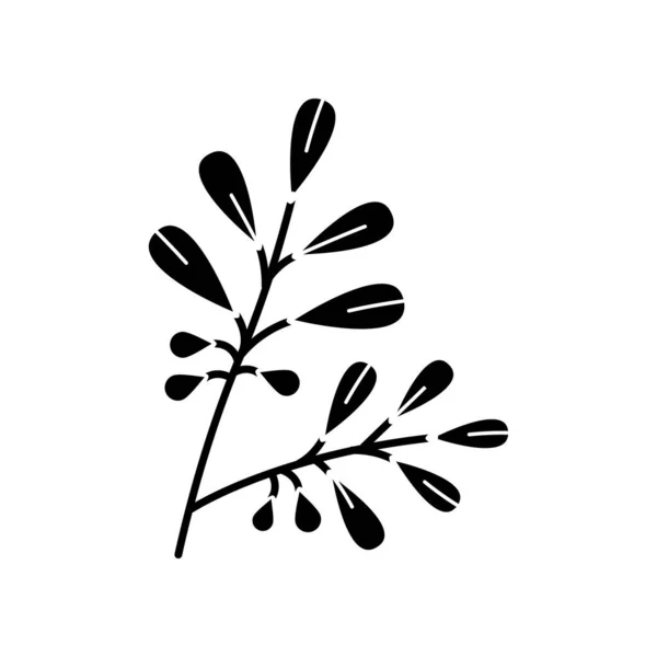 可口可乐黑色象形文字 可卡因树的枝条Erythroxylum Coca 西班牙毒品农业 用于药物制造的原材料 白色空间上的轮廓符号 矢量孤立的说明 — 图库矢量图片