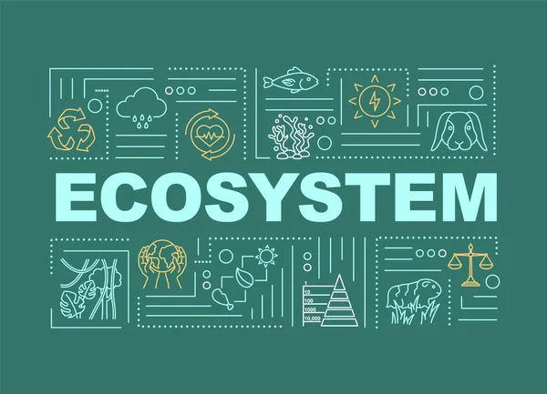 Écosystème Concept Mot Biodiversité Bannière Nature Communauté Organismes Vivants Infographies — Image vectorielle