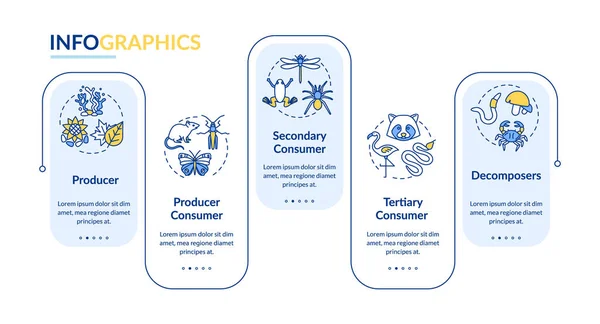 Выпас Векторного Инфографического Шаблона Пищевой Цепи Энергопроизводитель Элементы Дизайна Презентаций — стоковый вектор