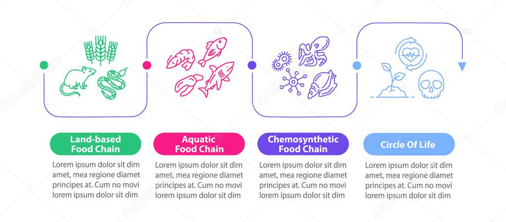Food chain vector infographic template. Biological energy consumption process presentation design elements. Data visualization with 4 steps. Process timeline chart. Workflow layout with linear icons