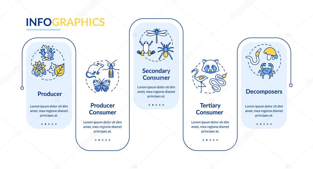 Grazing food chain vector infographic template. Energy producer and consumer presentation design elements. Data visualization with 5 steps. Process timeline chart. Workflow layout with linear icons