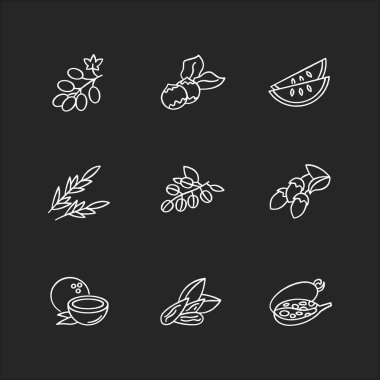 Saç yağı içeriği siyah arkaplanda beyaz tebeşir simgeleri oluşturur. Beslenmek için Jojoba esansı. Doğal saç bakımı için bitkisel kozmetik ürünü. İzole edilmiş vektör karatahta çizimleri