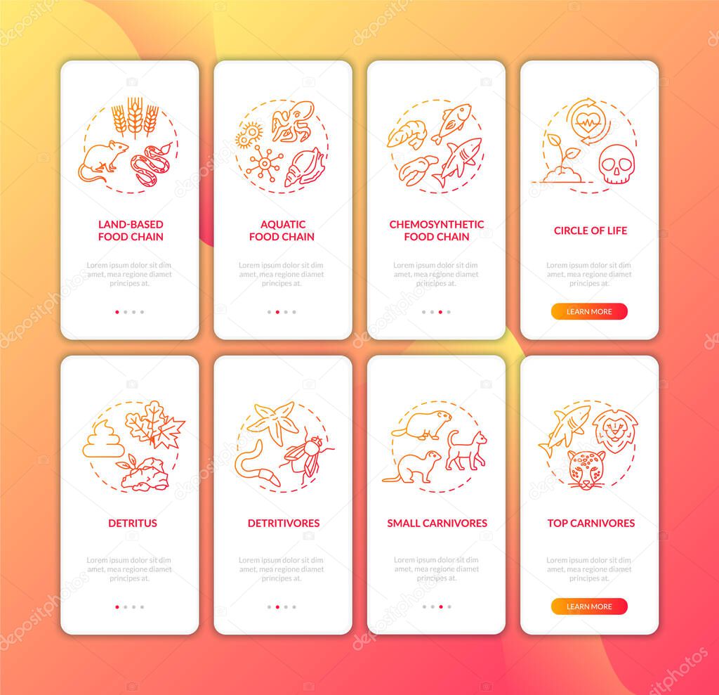 Food web onboarding mobile app page screen with concepts set. Detritus and animal food chains walkthrough 4 steps graphic instructions. UI vector template with RGB color illustrations