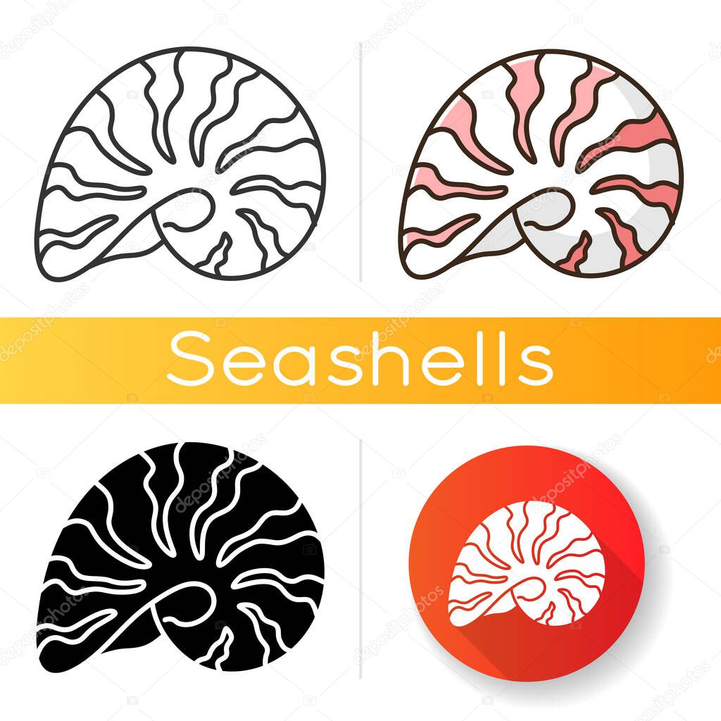 Moonshell black glyph icon. Common cockleshell, conchology silhouette symbol on white space. Naticarius canrena. Cephalopod shell, molluscan shell, spiral snail conch vector isolated illustration