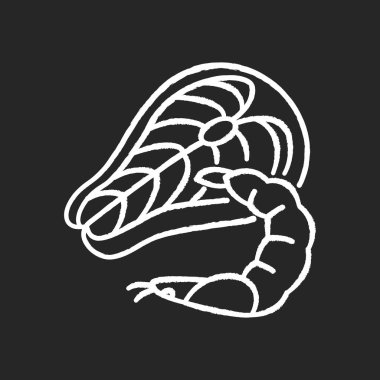 Siyah arkaplanda deniz ürünleri beyaz tebeşiri simgesi. Ton balıklı biftek. Taze karides. Akdeniz mutfağı. Yemek tarifi malzemesi. Lüks somon balığı. Deniz yemeği. İzole edilmiş vektör karatahta çizimi