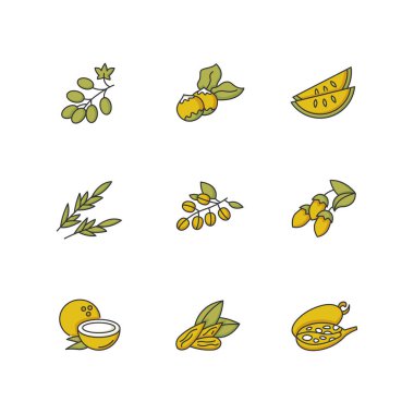 Saç yağı bileşenleri RGB renk simgeleri ayarlandı. Olgun kalahari kavun dilimleri. Hindistan cevizi ve badem üzümlü. Egzotik Afrika baobab meyvesi. Çiğ Macadamia fındığı. İzole vektör çizimleri