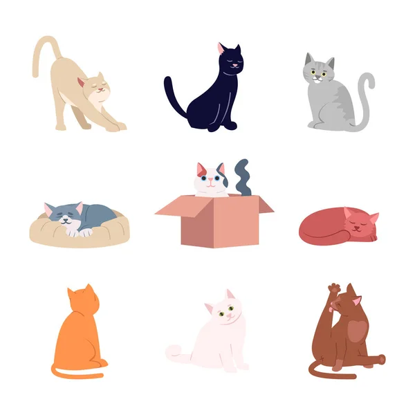 Gatos Bonitos Conjunto Ilustrações Vetoriais Planas Adoráveis Animais Domésticos Amigos — Vetor de Stock