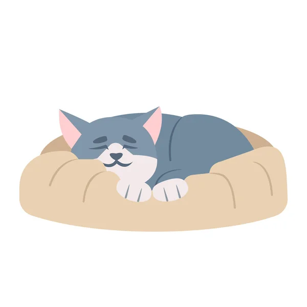 Nette Schlafende Katze Halb Flach Rgb Farbvektor Illustration Entzückende Kätzchen — Stockvektor