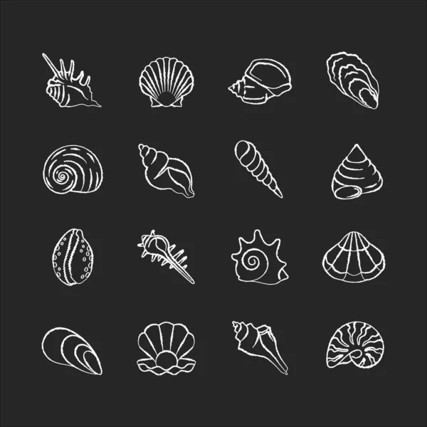 Seashells Kréta Fehér Ikonok Beállítva Fekete Háttér Különböző Kagylóhéjak Konchológia — Stock Vector