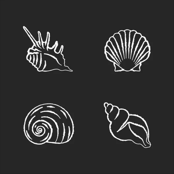 Екзотичні Морські Мушлі Крейдяні Білі Ікони Встановлені Чорному Тлі Молюсківські — стоковий вектор