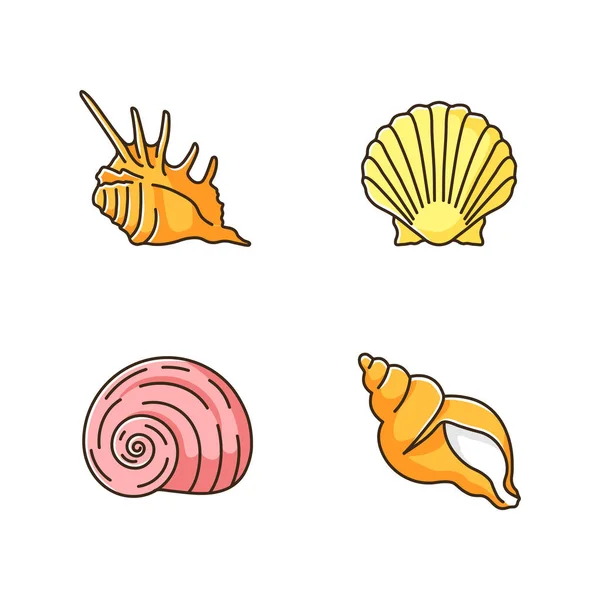 Conjunto Iconos Color Rgb Conchas Marinas Exóticas Conchas Moluscos Conchología — Vector de stock