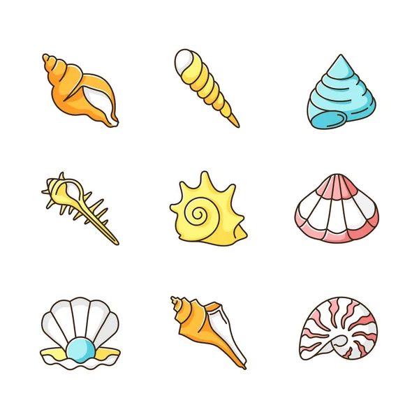 Sea Shells Rgb Color Icons Set Various Molluscan Shells Conchology — Stock Vector