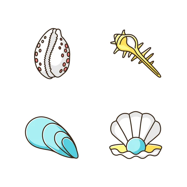 Diverse Conchiglie Mare Rgb Colore Set Icone Collezione Seashells Conchologia — Vettoriale Stock