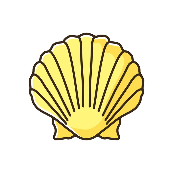 100,000 Clam shell Vector Images | Depositphotos