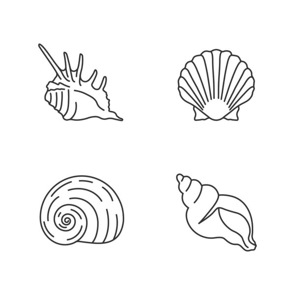 Exotic sea shells pixel perfect linear icons set. Customizable thin line contour symbols. Sea scallop, moonshell, triton conch and spiked shell isolated vector outline illustrations. Editable stroke