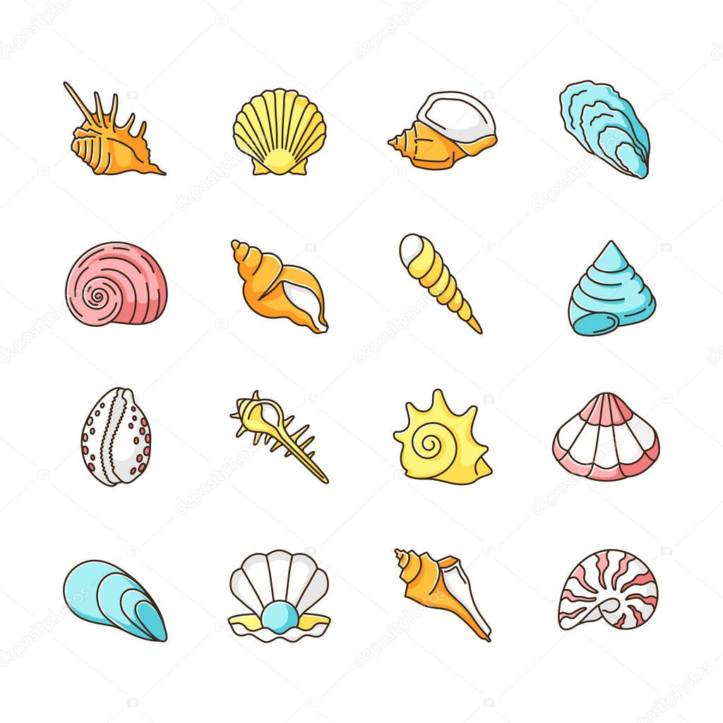 Seashells RGB color icons set. Different mollusk shells, conchology Decorative ocean souvenirs. Various sea shells collection isolated vector illustrations