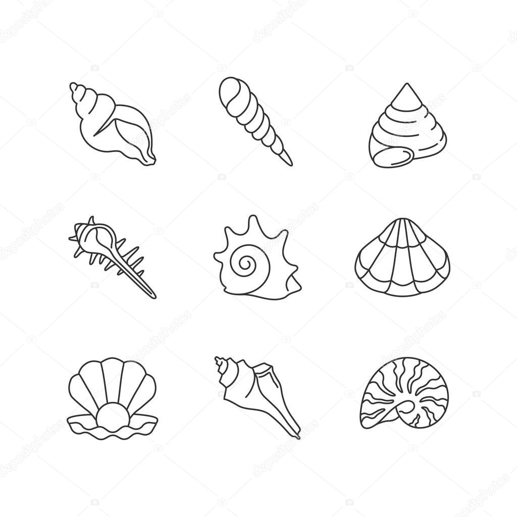Sea shells pixel perfect linear icons set. Various molluscan shells, conchology customizable thin line contour symbols. Various cockleshell isolated vector outline illustrations. Editable stroke