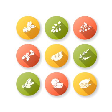 Saç yağı içeriği düz dizayn, uzun gölge sembolleri seti. Beslenmek için Jojoba esansı. Hindistan cevizi ve badem. Doğal saç bakımı için bitkisel kozmetik ürünü. Siluet RGB renk çizimi