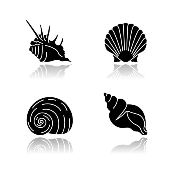 Conjuntos Iconos Glifo Negro Sombra Conchas Marinas Exóticas Conchas Moluscos — Archivo Imágenes Vectoriales