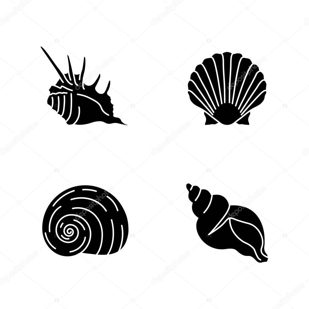 Exotic sea shells black glyph icons set on white space. Molluscan cockshells, conchology silhouette symbols. Sea scallop, moonshell, triton conch and spiked shell vector isolated illustrations