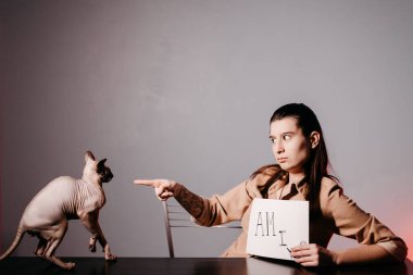 İngilizce öğreten ve kediyle işaret dilini kullanan kız. Çevrimiçi okulda öğretmenlik için yenilikçi pedagoji. İnternette yeni bir İngilizce kursu mevcut..