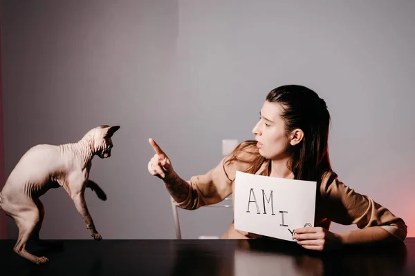 The girl teaching English and shows phrases using signs at with a cat. Innovative pedagogy to teaching in online school.A new english course is available online.