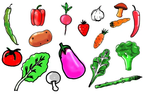 Etwas handgezeichnetes Gemüse — Stockfoto