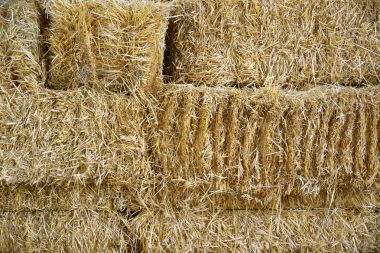 Eski bir ambarda yığını bir çiftlik oluşturan bazı saman balya. Kırsal arka plan ve boş kopya alanı