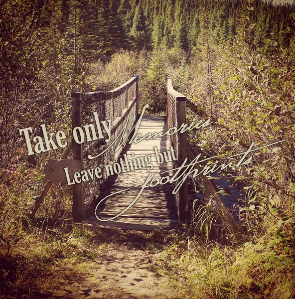 Hermoso instagram de puente de madera en el bosque con cita — Foto de Stock