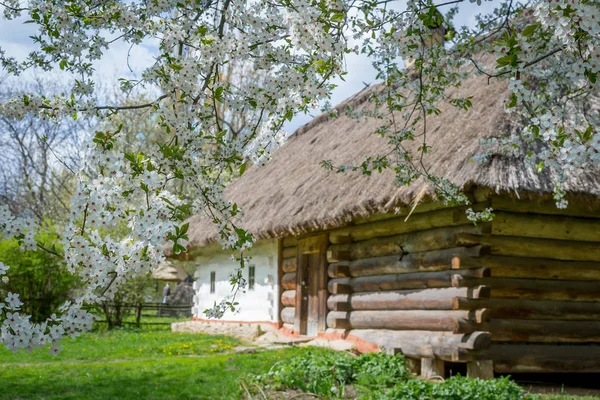 National Museum Pirogovo in the outdoors near Kiev. — Stock Photo, Image