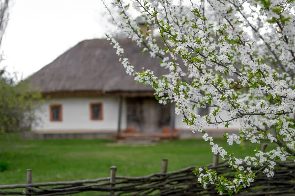 National Museum Pirogovo in the outdoors near Kiev. — Stock Photo, Image