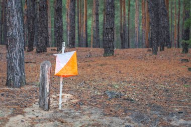 Orienteering. Denetim noktası prizma ve oryantiring sonbahar ormandaki için composter.