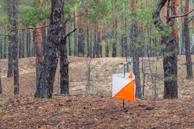 Orienteering. Denetim noktası prizma ve composter orienteering sonbahar ormanın içinde için. Kavramı.