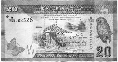 20 rupi, Sri Lanka 'nın parası. Yüksek çözünürlüklü. Arka taraf..