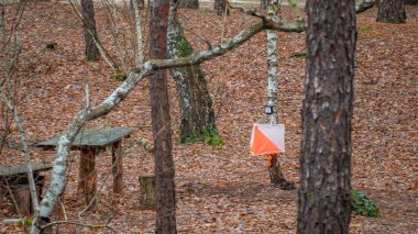 Yönlendirme. Kontrol Noktası Prizması manzarası ve gübre elektroniği ve sonbahar ormanlarında oryantasyon için mekanik. Spor seyrüsefer ekipmanları. Kavram.