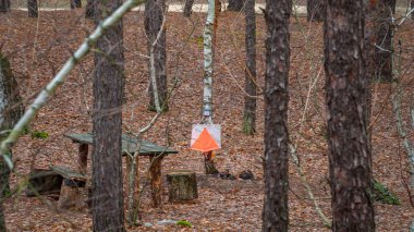 Yönlendirme. Kontrol Noktası Prizması manzarası ve gübre elektroniği ve sonbahar ormanlarında oryantasyon için mekanik. Spor seyrüsefer ekipmanları. Kavram.