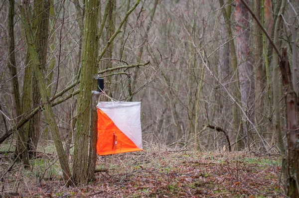 Orienteering. View of Checkpoint Prism and compost electronic and mechanical for orienteering in the autumn forest. Sports navigation equipment. Concept. — ストック写真