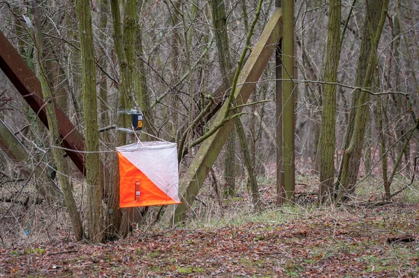 Orientering. Utsikt över Checkpoint Prisma och kompost elektroniskt och mekaniskt för orientering i höstskogen. Utrustning för sportnavigering. Begreppet. — Stockfoto