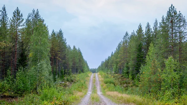 芬兰。一条穿过森林的风景秀丽的道路.斯堪的纳维亚美丽的风景. — 图库照片