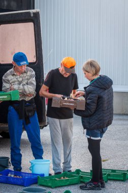 Kontiomaki, Finlandiya - 29 Ağustos 2018. Deneyimsiz mantar toplayıcıları fabrikaya ilk kez mantar getirdi. Mantar müfettişi kötü mantarlardan iyiyi nasıl ayırt edeceğini açıklıyor..