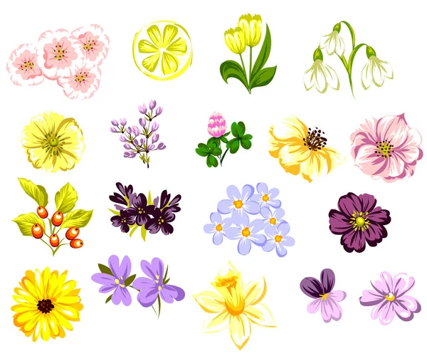 Hermosas flores ornamento — Vector de stock