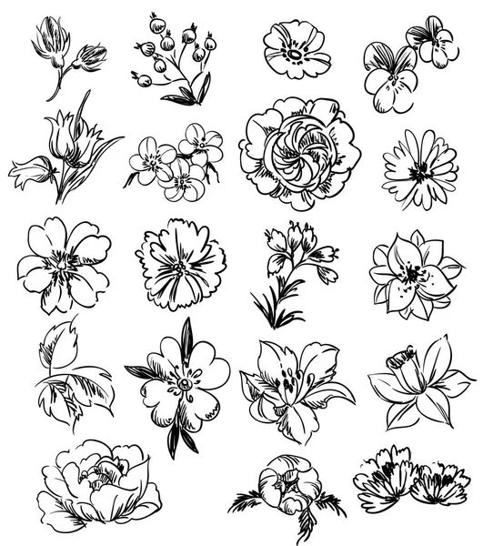 Hermoso adorno floral — Archivo Imágenes Vectoriales