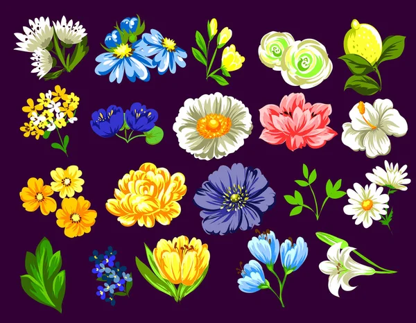 Hermosas flores ornamento — Vector de stock