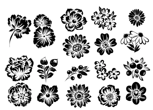 Hermosas flores ornamento — Archivo Imágenes Vectoriales